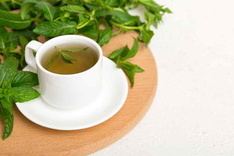 La tisane de mélisse Pinketcetera